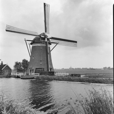 Rijksdienst voor het Cultureel Erfgoed: Delemarre, G.Th.