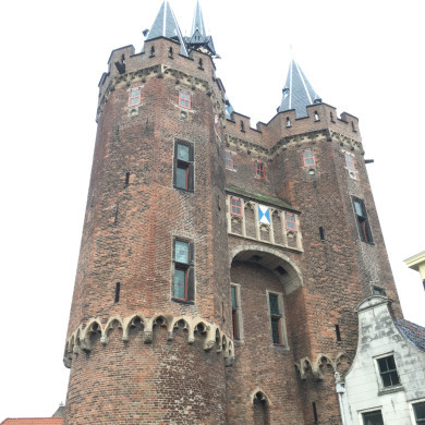 Rijksdienst voor het Cultureel Erfgoed: Wal, Henry van der