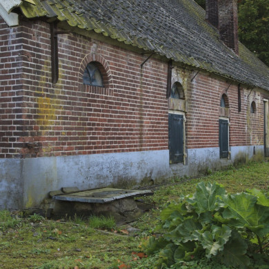 Rijksdienst voor het Cultureel Erfgoed: Jong, Nanette de