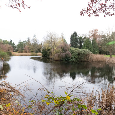 Rijksdienst voor het Cultureel Erfgoed: Sekuur, Mark