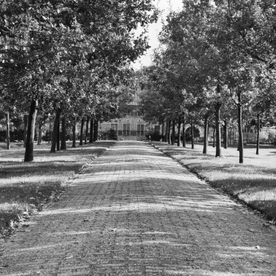 Rijksdienst voor het Cultureel Erfgoed: Scanlan, G.