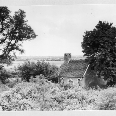 Rijksdienst voor het Cultureel Erfgoed: Koning, de