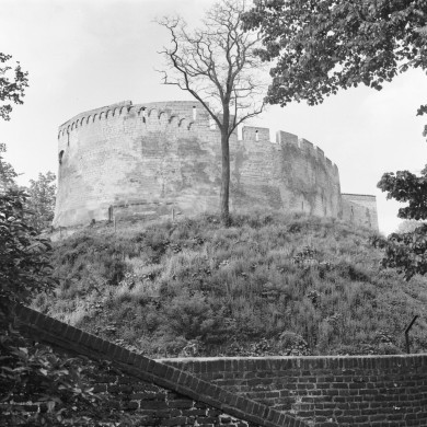 Rijksdienst voor het Cultureel Erfgoed: Delemarre, G.Th.