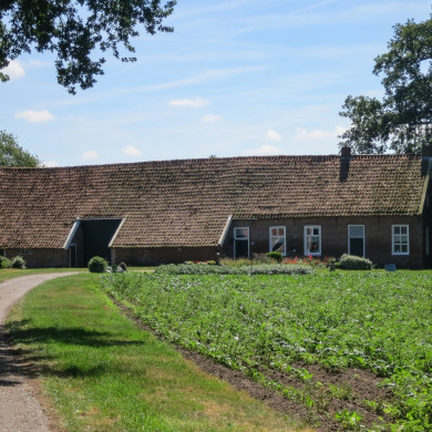 Rijksdienst voor het Cultureel Erfgoed: Brinkkemper, O. (Otto)