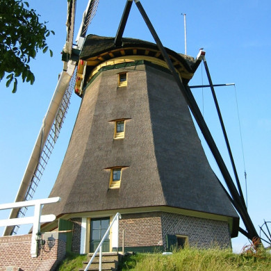 Rijksdienst voor het Cultureel Erfgoed: Terpstra, Frank