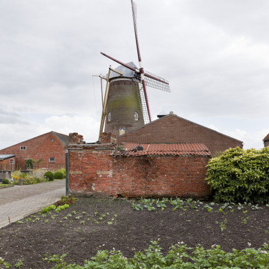 Rijksdienst voor het Cultureel Erfgoed: Booms, C.S. (Chris)