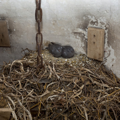 Rijksdienst voor het Cultureel Erfgoed: Booms, C.S. (Chris)