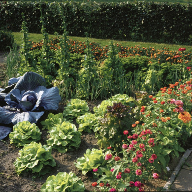 Rijksdienst voor het Cultureel Erfgoed: Heuff M. (Marijke)
