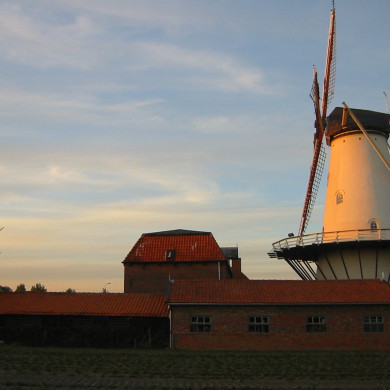 Rijksdienst voor het Cultureel Erfgoed: Terpstra, Frank