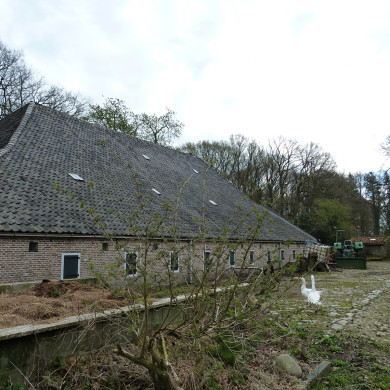 Rijksdienst voor het Cultureel Erfgoed: Wal, Henry van der