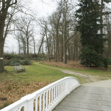 Rijksdienst voor het Cultureel Erfgoed: Galen, Jan van