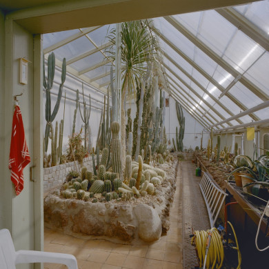 Rijksdienst voor het Cultureel Erfgoed: Koning, J.P. de