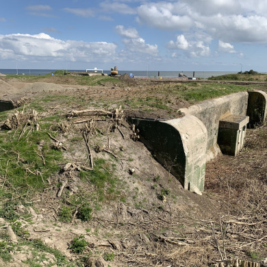 Rijksdienst voor het Cultureel Erfgoed: Bogers, Guido