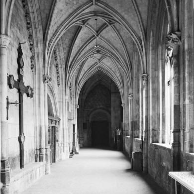 Rijksdienst voor het Cultureel Erfgoed: Delemarre, G.Th.