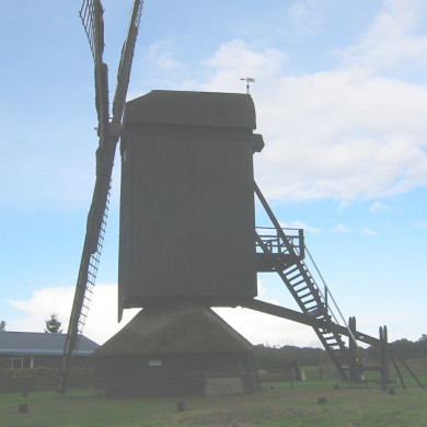 Rijksdienst voor het Cultureel Erfgoed: Terpstra, Frank