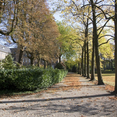 Rijksdienst voor het Cultureel Erfgoed: Technau, Sergé