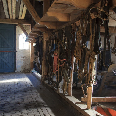 Rijksdienst voor het Cultureel Erfgoed: Jong, Nanette de
