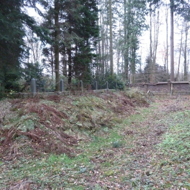 Rijksdienst voor het Cultureel Erfgoed: Wal, Henry van der