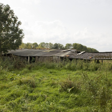 Rijksdienst voor het Cultureel Erfgoed