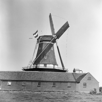 Rijksdienst voor het Cultureel Erfgoed: Bicker Caarten, A.