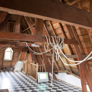 Rijksdienst voor het Cultureel Erfgoed: Steen, Monique van der