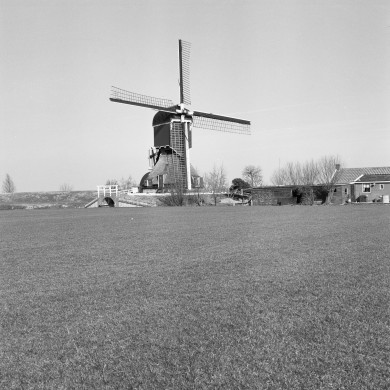 Rijksdienst voor het Cultureel Erfgoed: Heins, IJ.Th.