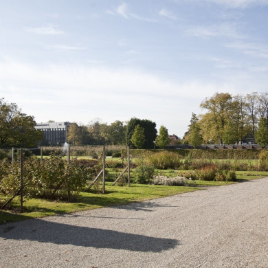 Rijksdienst voor het Cultureel Erfgoed: Technau, Sergé