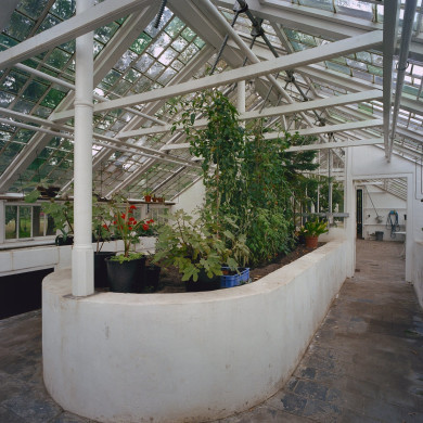 Rijksdienst voor het Cultureel Erfgoed: Heins, IJ.Th.