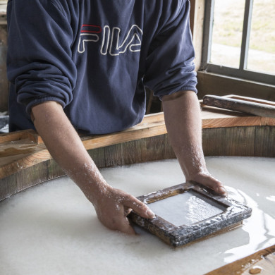 Rijksdienst voor het Cultureel Erfgoed: Sar, Wouter van der