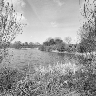 Rijksdienst voor het Cultureel Erfgoed: Heins, IJ.Th.