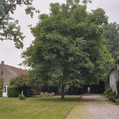 Rijksdienst voor het Cultureel Erfgoed: Wal, A.J. van der