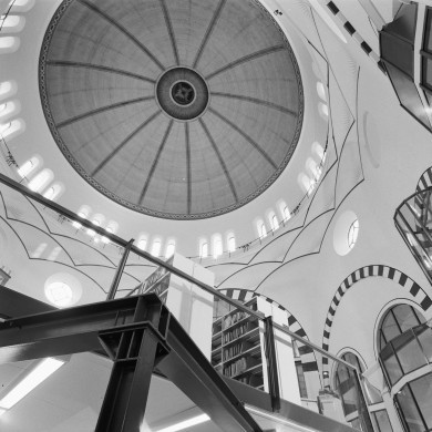 Rijksdienst voor het Cultureel Erfgoed: Koning, de