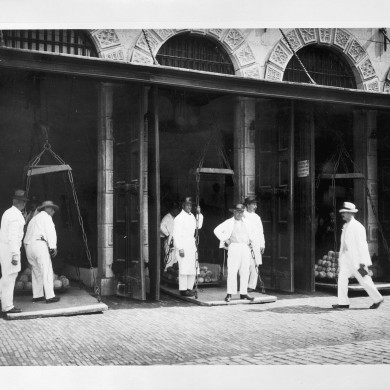 Rijksdienst voor het Cultureel Erfgoed: Prentenkabinet