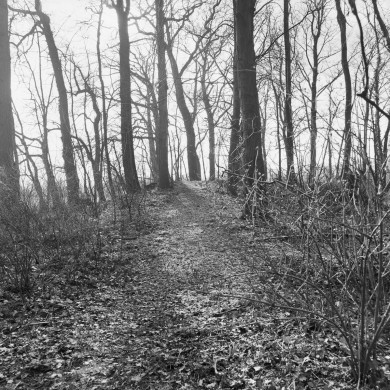 Rijksdienst voor het Cultureel Erfgoed: Dukker, G.J.