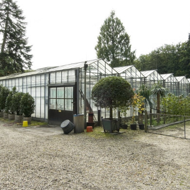 Rijksdienst voor het Cultureel Erfgoed: Galen, Jan van