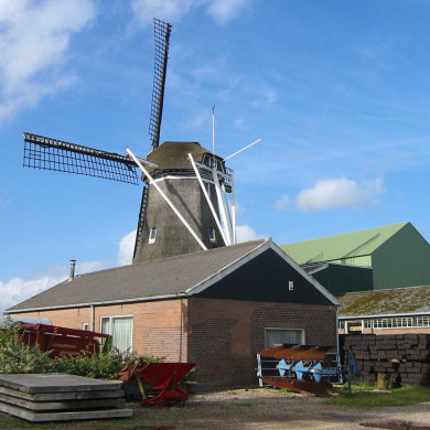 Rijksdienst voor het Cultureel Erfgoed: Terpstra, Frank