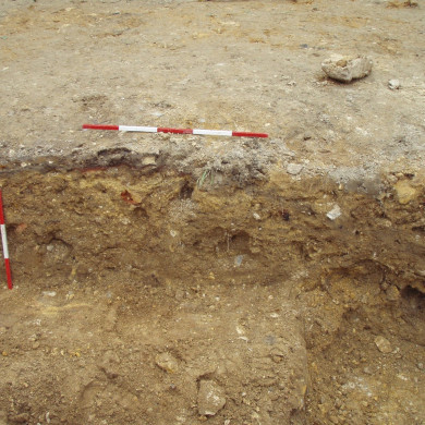 Rijksdienst voor het Cultureel Erfgoed