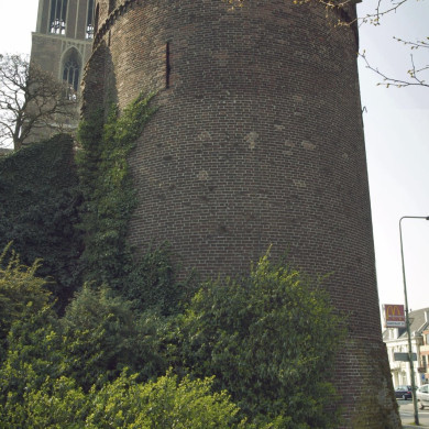 Rijksdienst voor het Cultureel Erfgoed: Booms, C.S. (Chris)