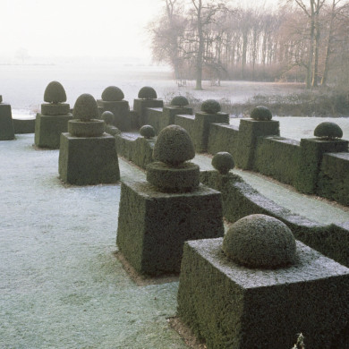 Rijksdienst voor het Cultureel Erfgoed: Heuff M. (Marijke)