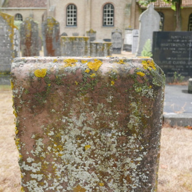Rijksdienst voor het Cultureel Erfgoed: Dolfin, M. en Erkelens, M.