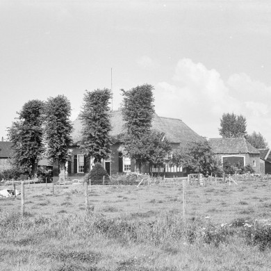 Rijksdienst voor het Cultureel Erfgoed: Schellekens, P.C.