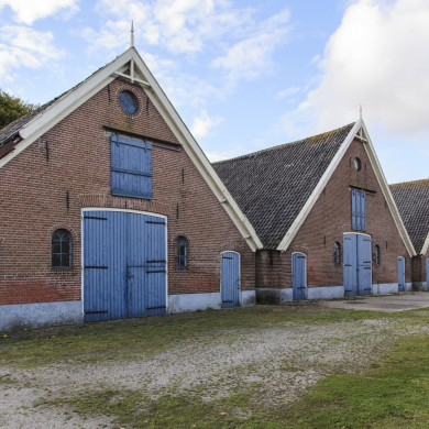 Rijksdienst voor het Cultureel Erfgoed: Jong, Nanette de