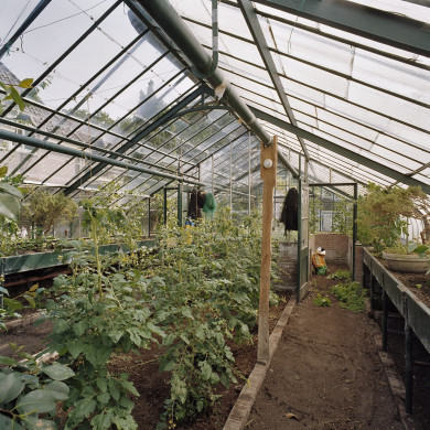 Rijksdienst voor het Cultureel Erfgoed: Heins, IJ.Th.