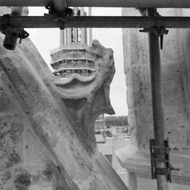 Rijksdienst voor het Cultureel Erfgoed: Tangel, L.M.