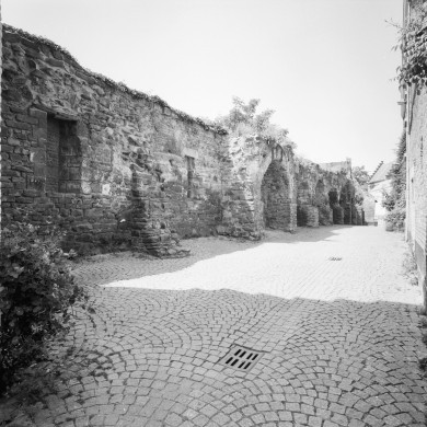 Rijksdienst voor het Cultureel Erfgoed: Heins, IJ.Th.