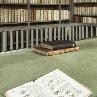 Rijksdienst voor het Cultureel Erfgoed: Tilleman, Ronald