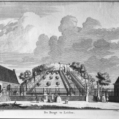 Rijksdienst voor het Cultureel Erfgoed: Delemarre, G.Th.