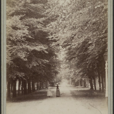 Rijksdienst voor het Cultureel Erfgoed: BRUINING, B.