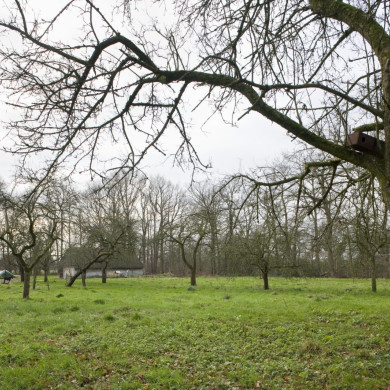 Rijksdienst voor het Cultureel Erfgoed: Booms, C.S. (Chris)