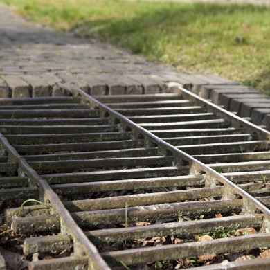 Rijksdienst voor het Cultureel Erfgoed: Sar, Wouter van der